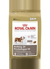 Royal Canin Bulldog 24